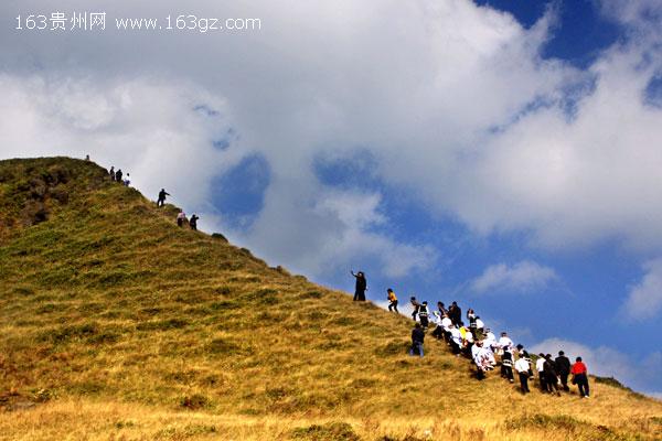 盤縣坡上草原風景名勝區