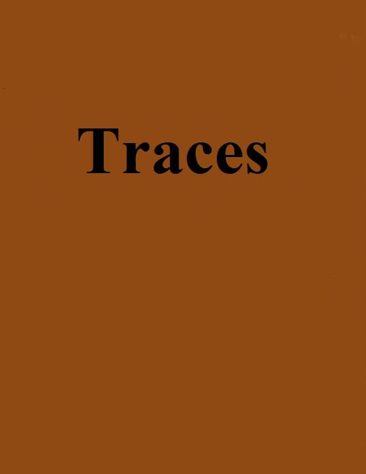 Traces(網路小說)