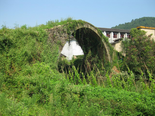 巨口村(福建省南平市武夷山市星村鎮巨口村)