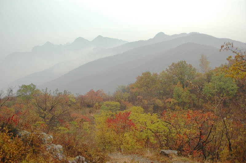 黃草梁風景