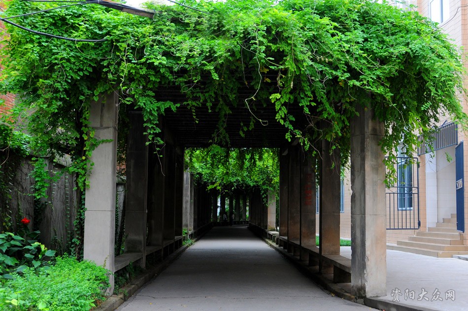 四川省資陽師範學校