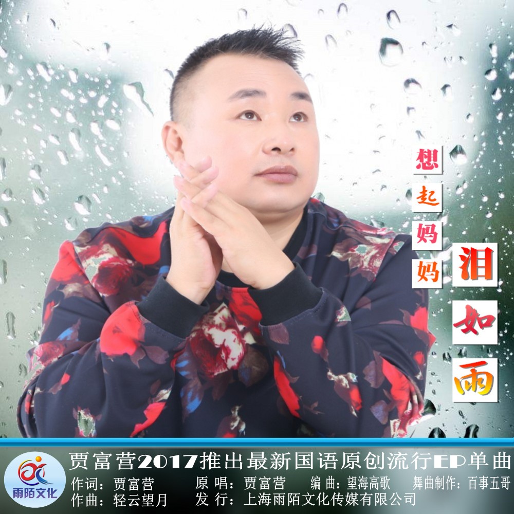 想起媽媽淚如雨（封面）