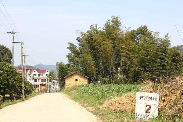 西岸村(河北省霸州市南孟鎮轄村)