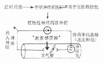 情緒的生理機制