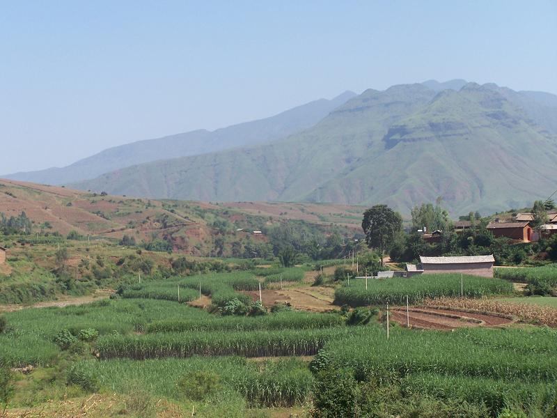 上茅坪村