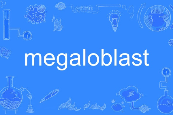 megaloblast