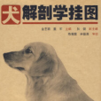 犬解剖學掛圖（一套6張）