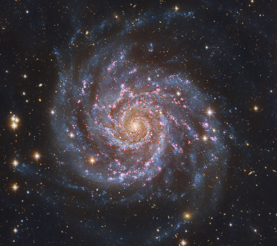 M74