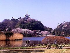 本牧海岸三溪園