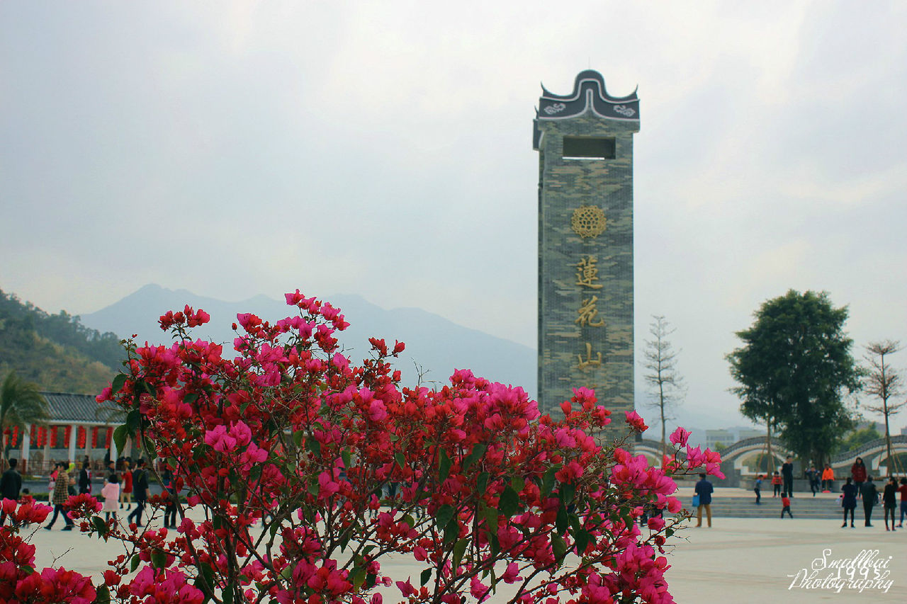 蓮花山公園(廣東省普寧市蓮花山公園)