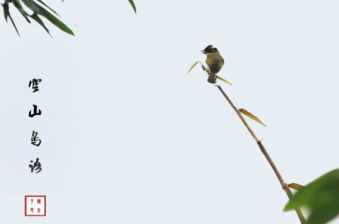 空山鳥語(毛翰詩歌作品)