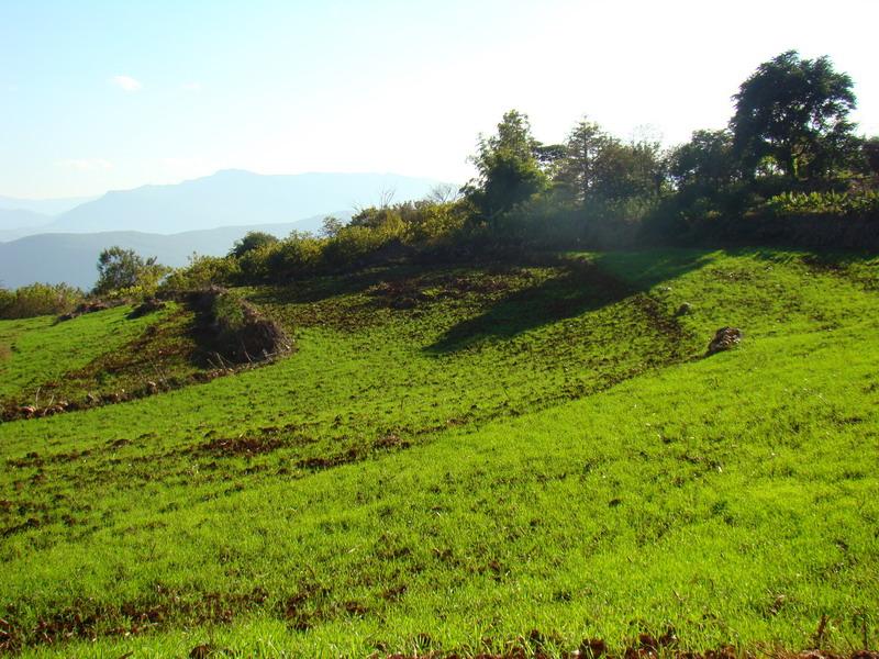 上岩腳村