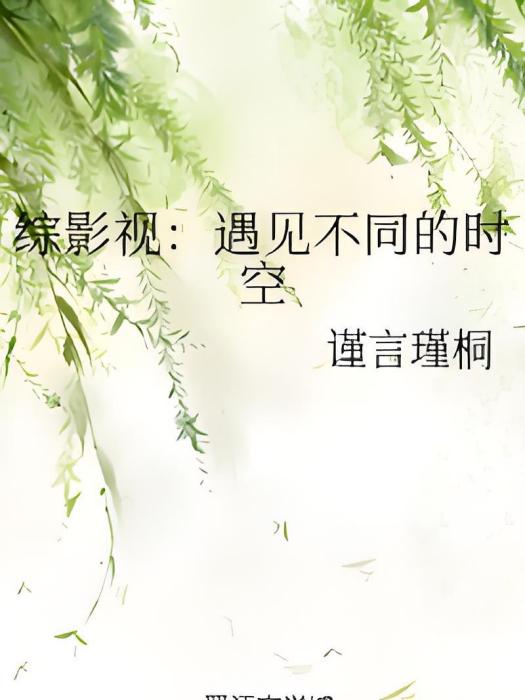 綜影視：遇見不同的時空