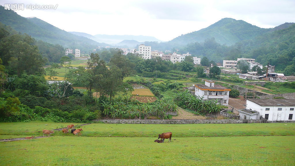 綿羊畈村