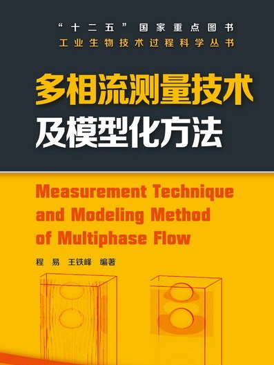 多相流測量技術及模型化方法