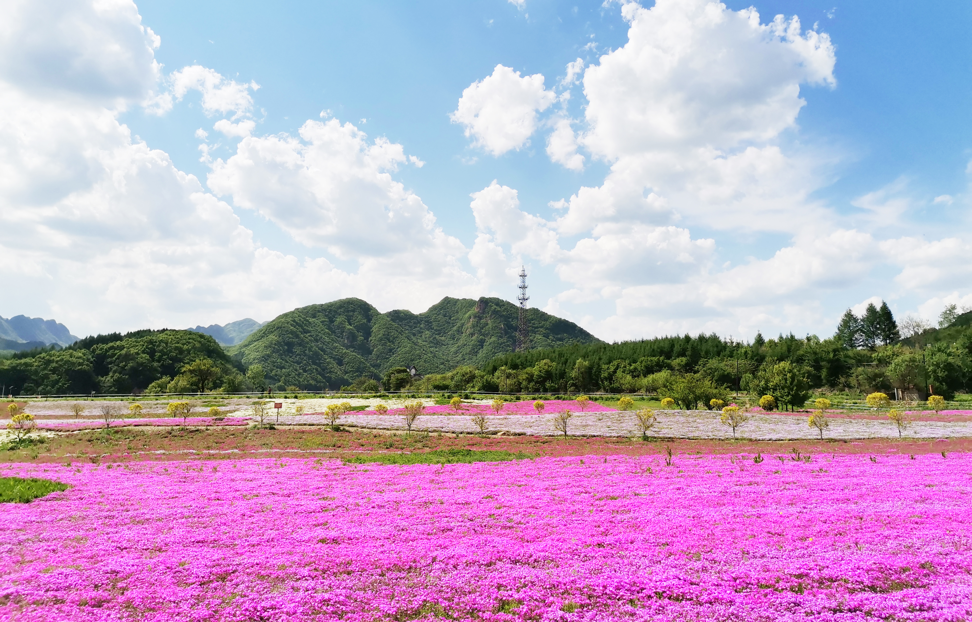 本溪花溪沐楓雪溫泉旅遊度假區