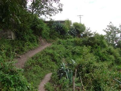 進村道路