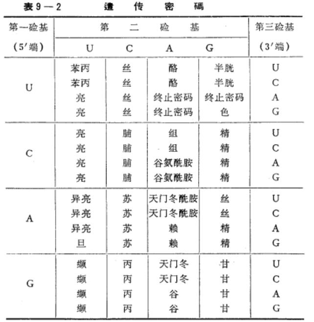 核糖核酸(RNA)