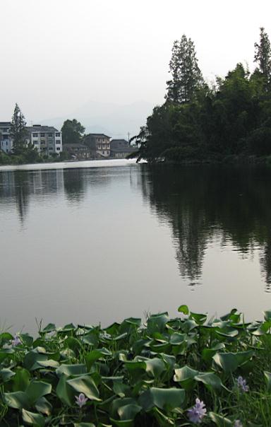 湖塘村(江西貴溪市志光鎮下轄村)