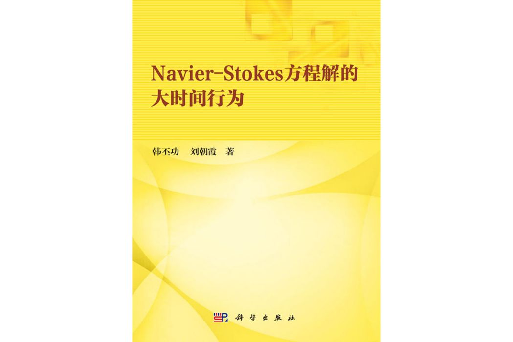 Navier-Stokes方程解的大時間行為