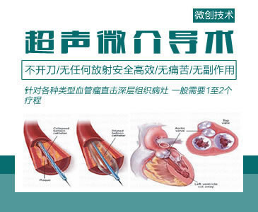 超聲微介導術