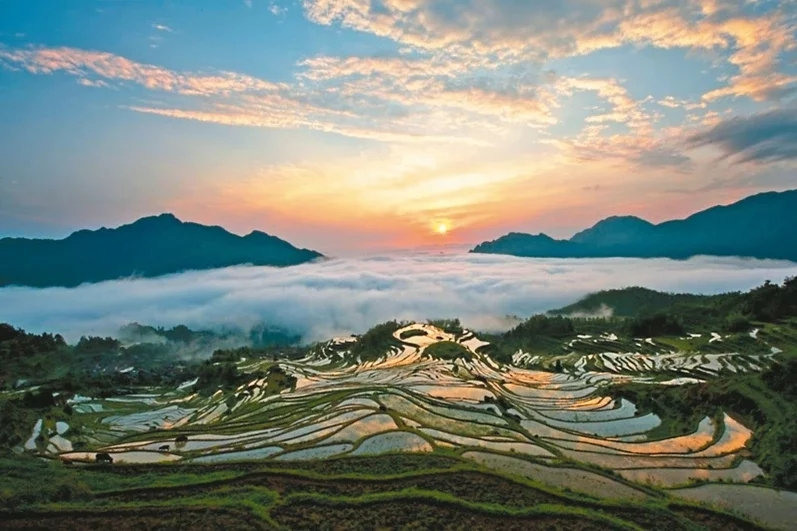 雲和梯田景區