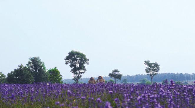 東海森林溫泉