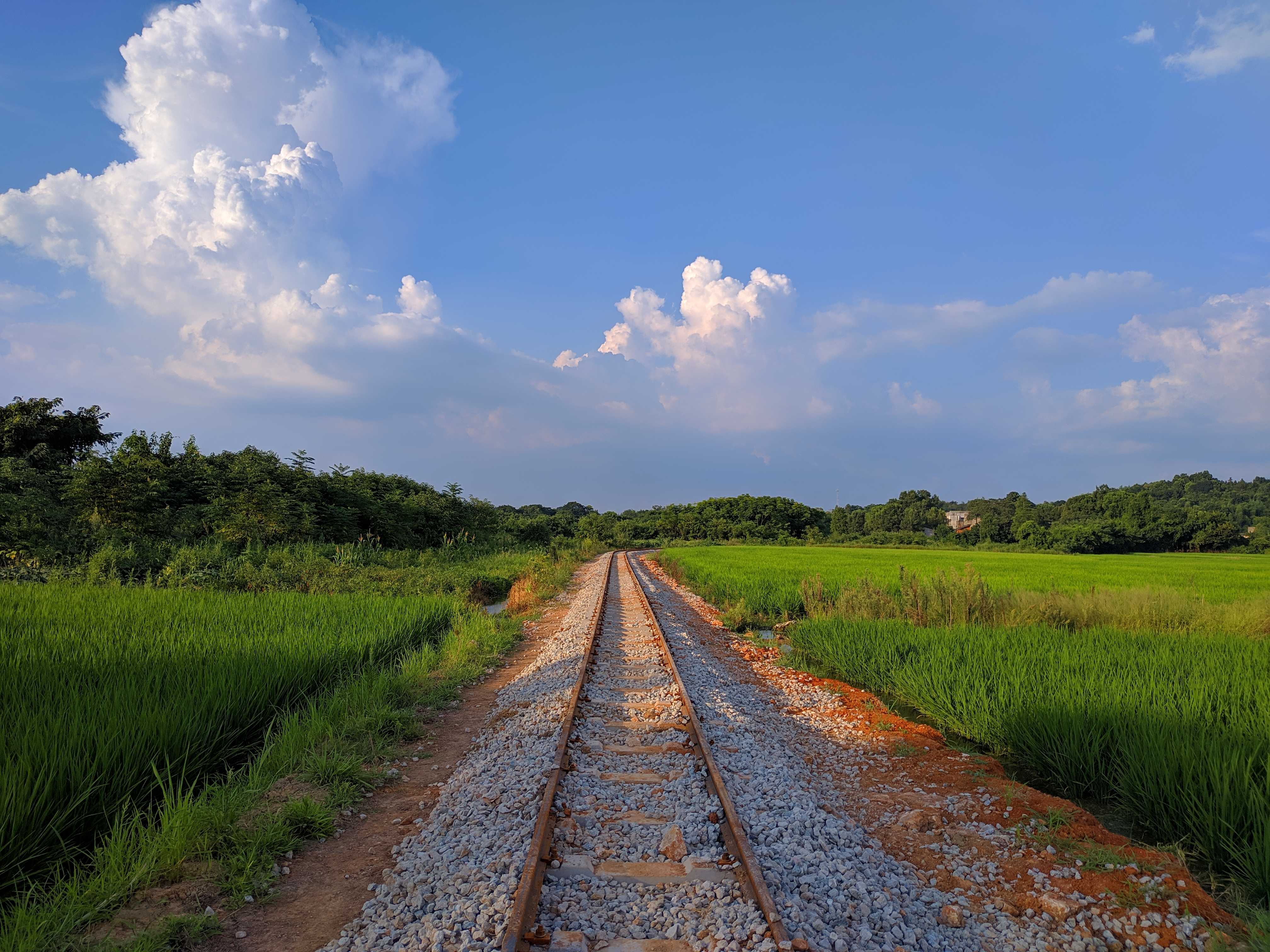 道林鎮河東新村旅遊觀光小火車道