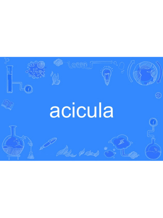 acicula