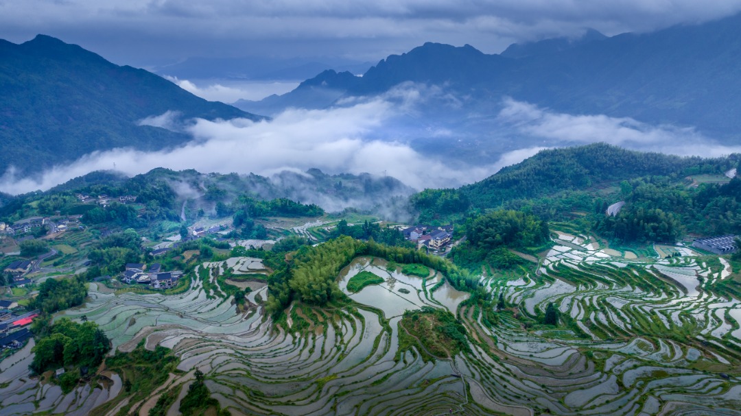 雲和梯田景區