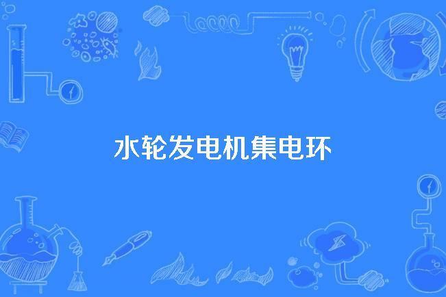 水輪發電機集電環