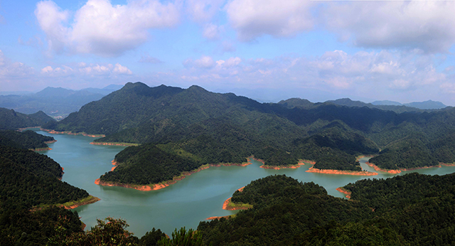 蒙山縣(蒙山（廣西壯族自治區梧州市蒙山縣）)