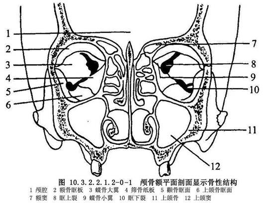 小環結紮法