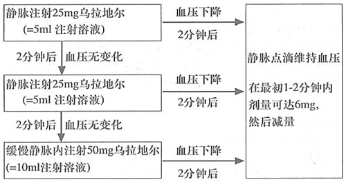 亞寧定