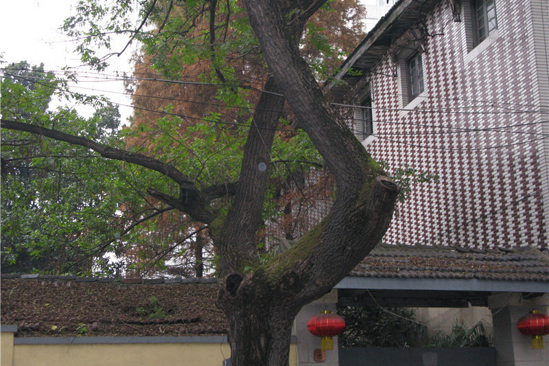 頤和路4號民國建築