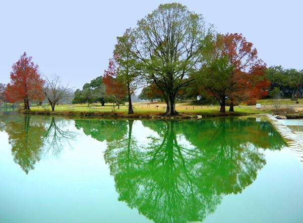 布蘭科州立公園