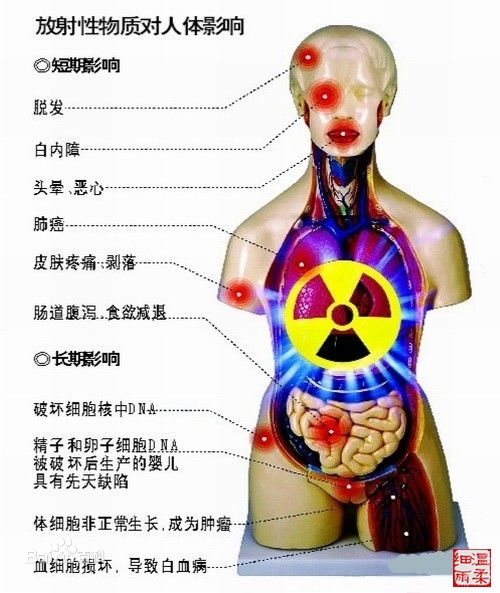 放射性物質對人體的危害