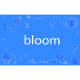 bloom(英語單詞)