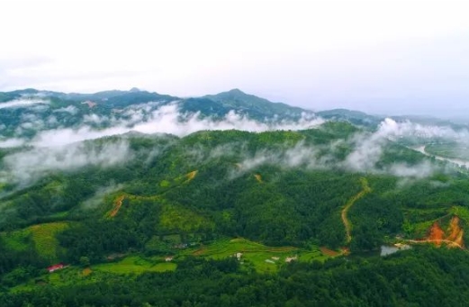 江西會昌山國家森林公園