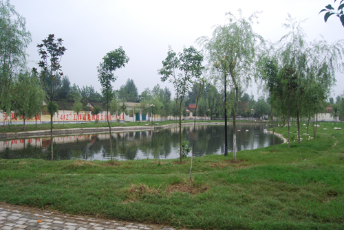 西許村(福建省莆田市城廂區華亭鎮下轄村)