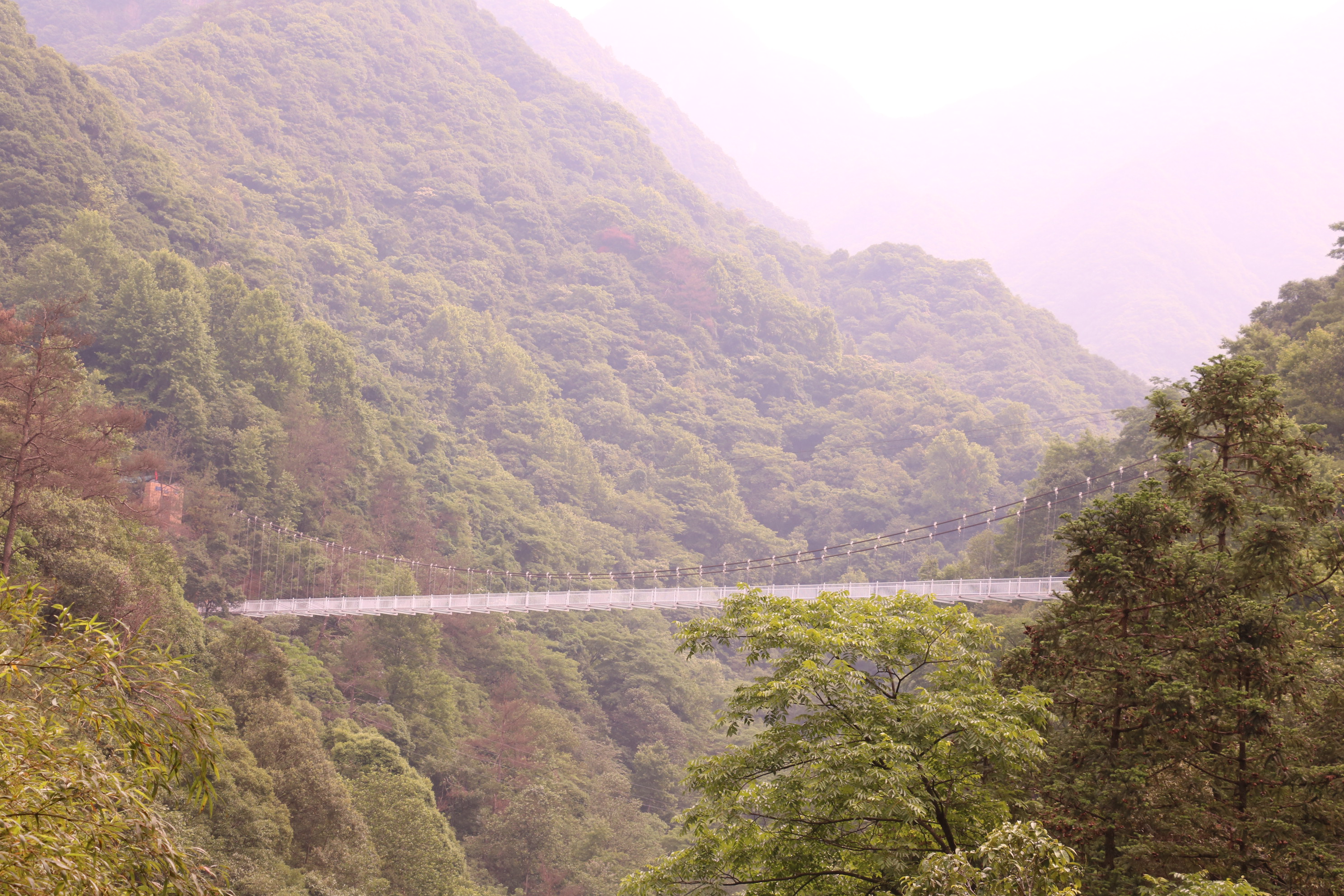 醉山野玻璃橋