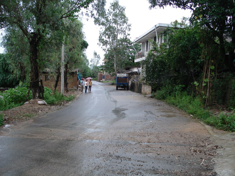 芭蕉樹村(雲南省新平縣漠沙鎮團結村委會芭蕉樹村)