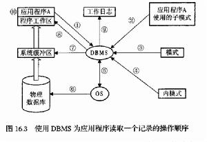 資料庫系統