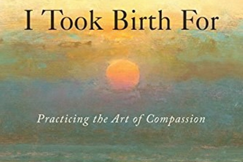 Healing I Took Birth for: Practicing the Art of Compassion