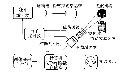 實驗裝置