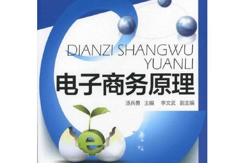 電子商務原理(2012年化學工業出版社出版的圖書)