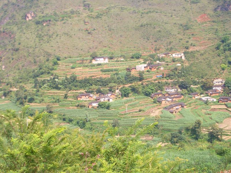 大坪村(雲南省昭通巧家縣白鶴灘鎮大坪村)