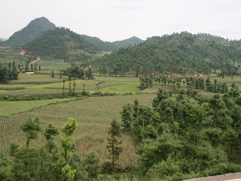 村中田園