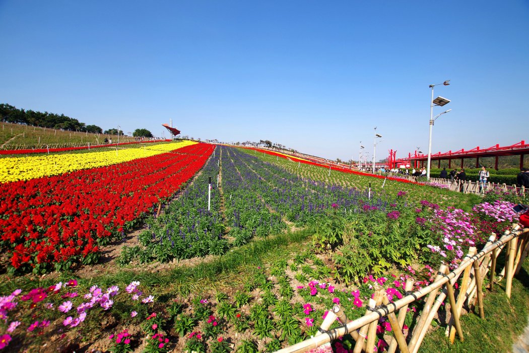 四季花田生態觀光園