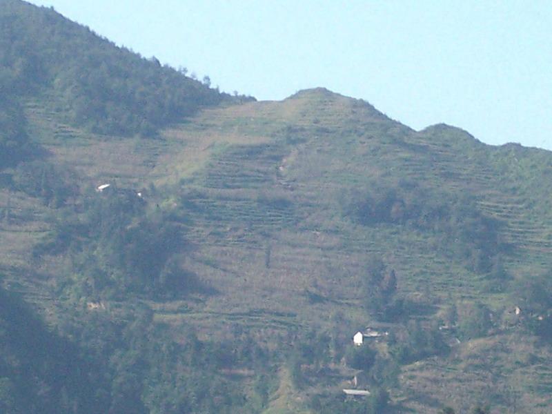 雲豐自然村(雲南省孟連縣芒信鎮下轄村)